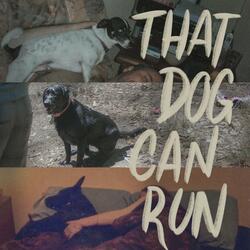 That Dog Can Run