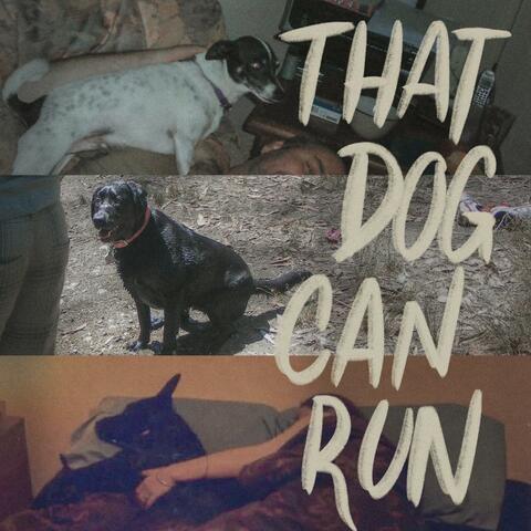 That Dog Can Run