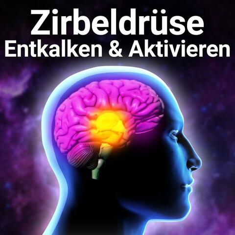 Zirbeldrüse Entkalken und Aktivieren