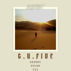 Desert Pulse T22 (House Music)