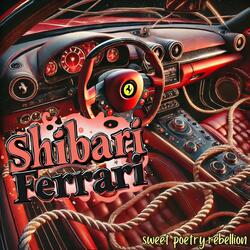 shibari ferrari