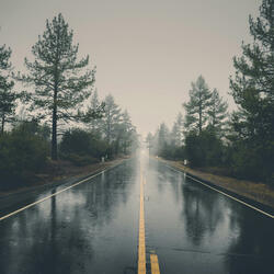 A GENTLE RAIN