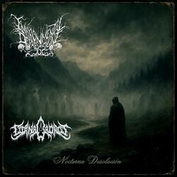 Cenizas En La Naturaleza