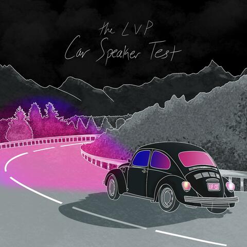 Car Speaker Test
