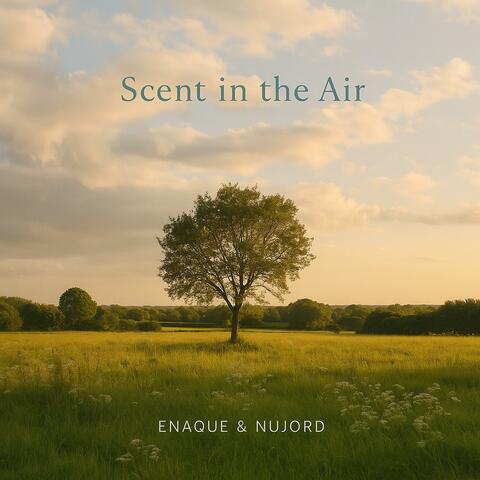 Scent In The Air