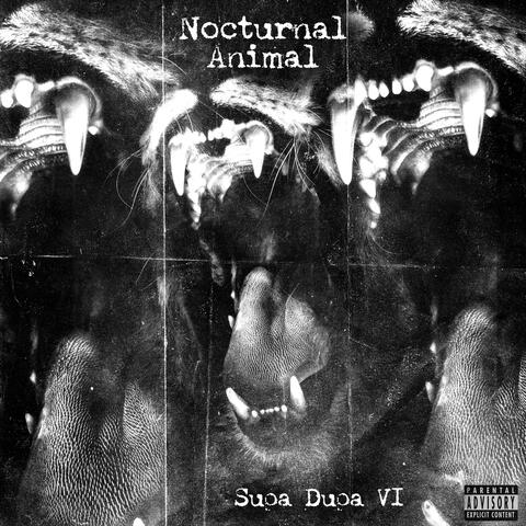 Nocturnal Animal