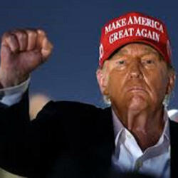 THE TRUMP SONG