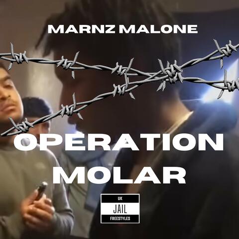Operation Molar (feat. Double M)