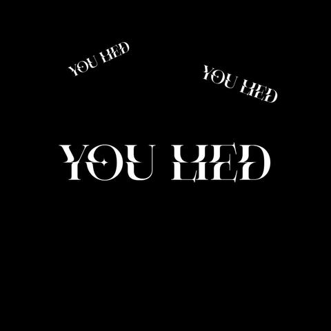 you lied