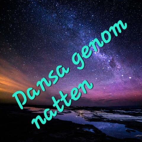 Dansa Genom Natten
