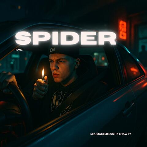 Spider