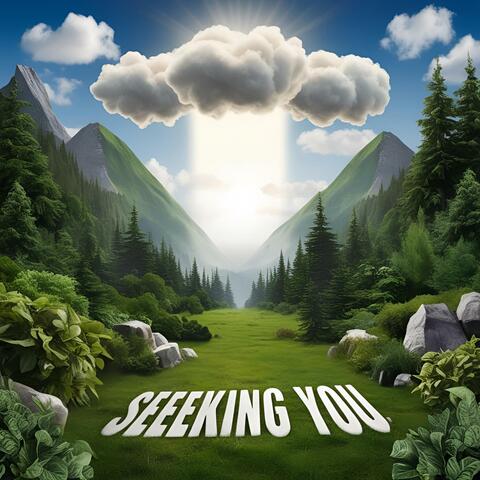 Seeking You