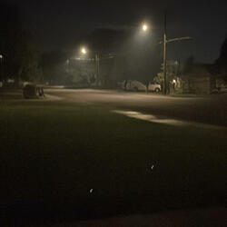 Noctivagant (Single Version)