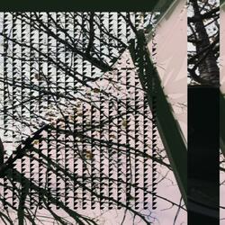 safe2say (feat. yunny goldz)