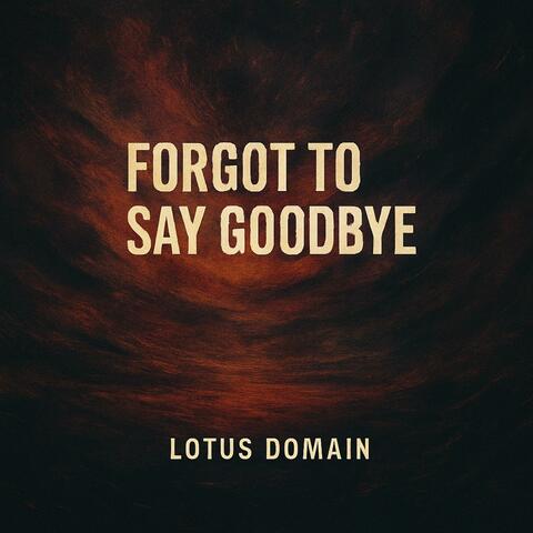 Forgot to say goodbye