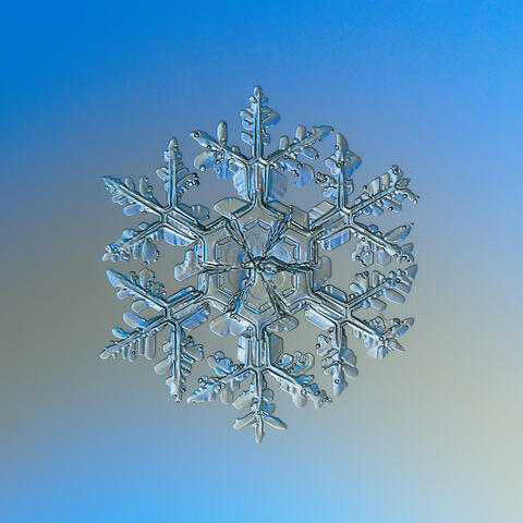 Snowflake, June 13th