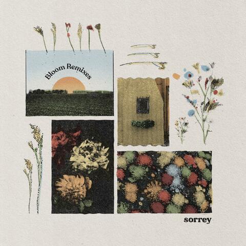Bloom (Remixes)
