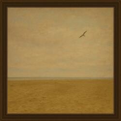 Undersea Sunrise Dream