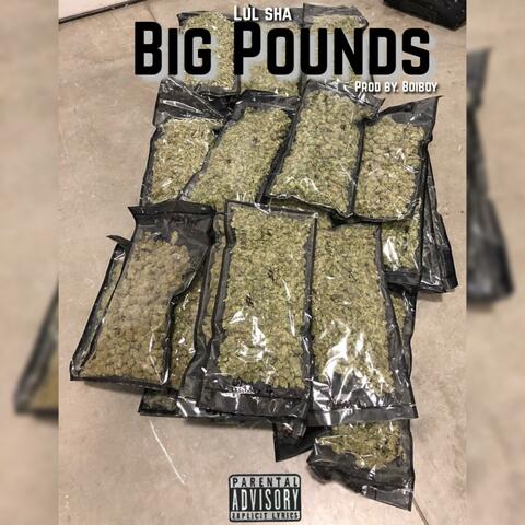 Big Pounds
