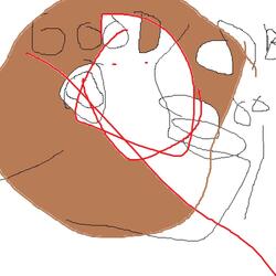 Goods and Bools (feat. monky)