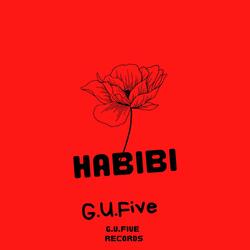 Habibi (Techno Music)