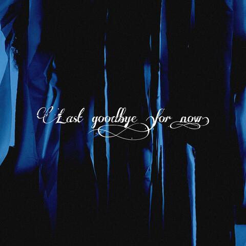 Last Goodbye (For Now)