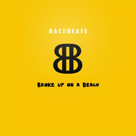 Broke Up On A Beach