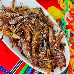 Giyani ka switshongo xitsonga 2025