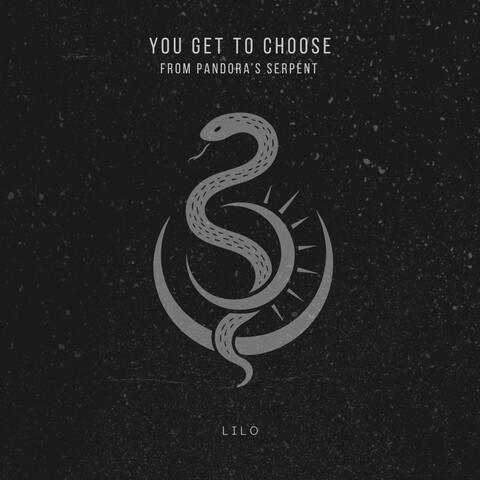 You Get To Choose