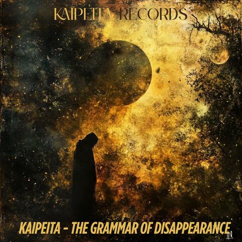 The Grammar of Disappearance