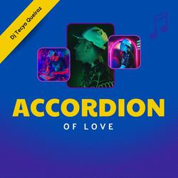 Accordion of Love - Funk