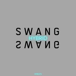 Swang (feat. Hybrid)