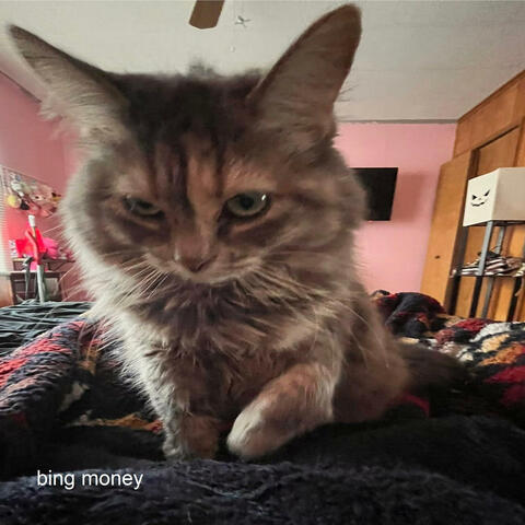 bing money