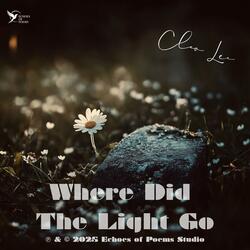 Where Did The Light Go