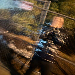 Reintroduction (Remix)