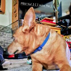 M80 free style vol 3 I miss her