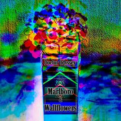 Marlboro & Wallflowers