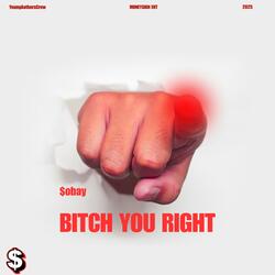 BITCH YOU RIGHT