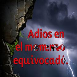 Adios En El Momento Equivocado