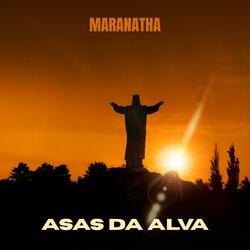 Asas da Alva