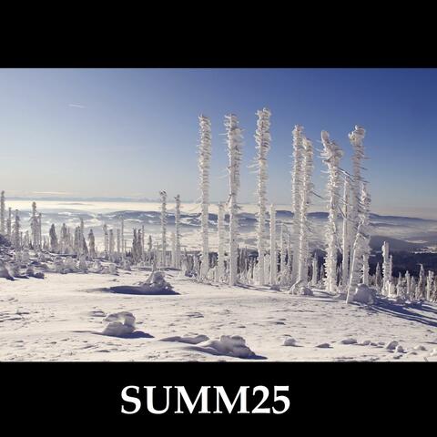 SUMM25