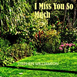 I Miss You So Much