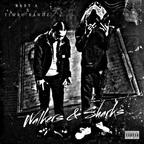 Walkers & Sharks (feat. TIMBO BANDZ)