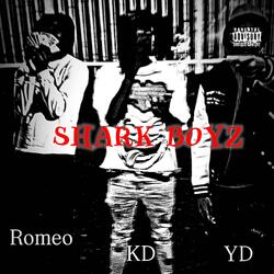 Shark Boyz (feat. Young Romeo & KSG Kaderek) (Shark Attack)