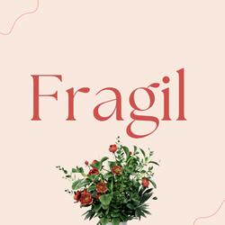Fragil