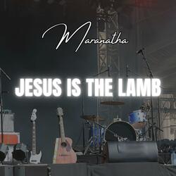 Jesus is The Lamb