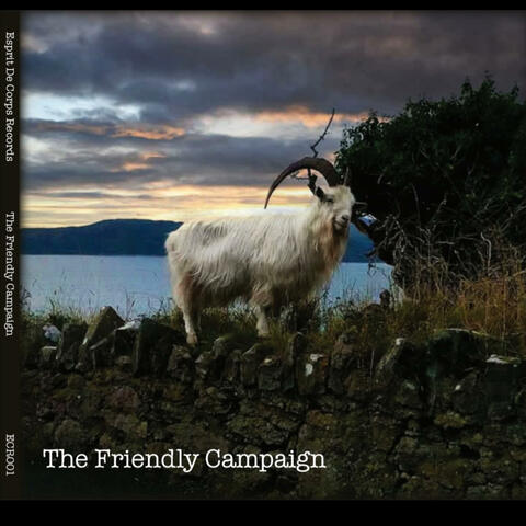 The Friendly Campaign