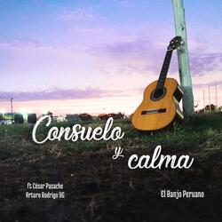 Consuelo y calma