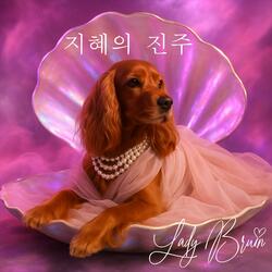 지혜의 진주 「Pearls of Wisdom」