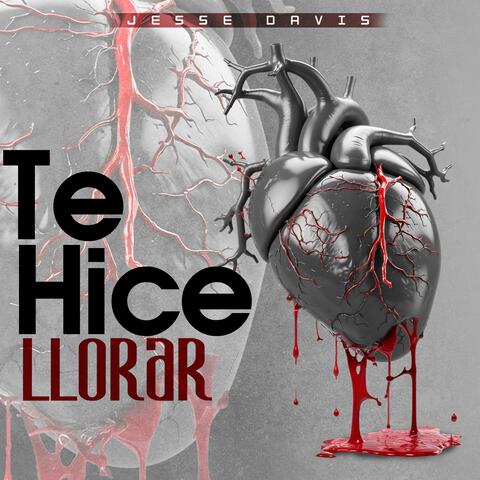 Te Hice Llorar